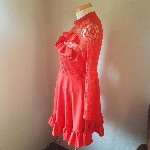 ASOS Lace and Ruffle High Neck Long Sleeved Dress - Picture 5 of 15